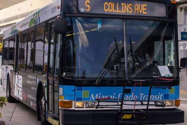 Bus