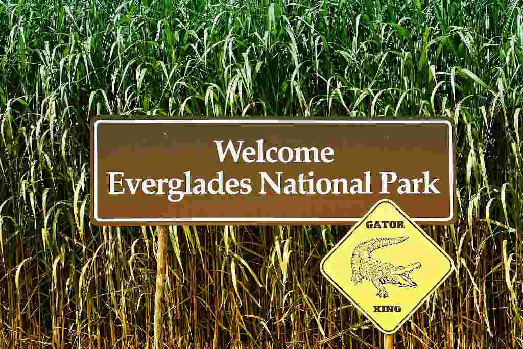 Les Everglades Floride