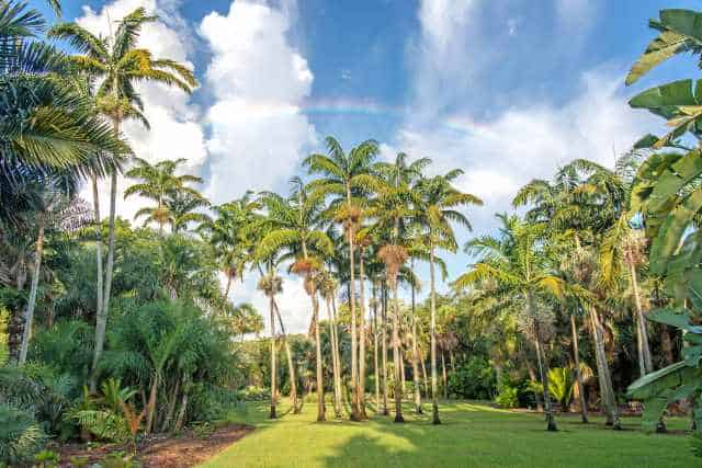 Fairchild Tropical Garden